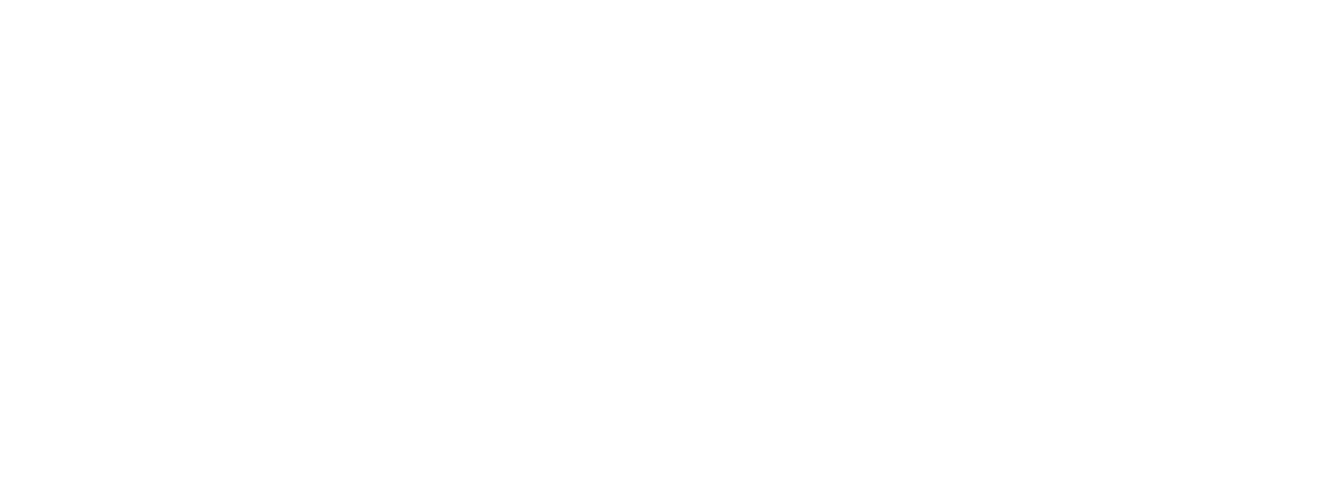 Bluestar Power Systems